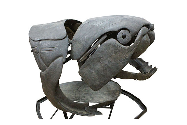 ダンクルオステウスの展示例